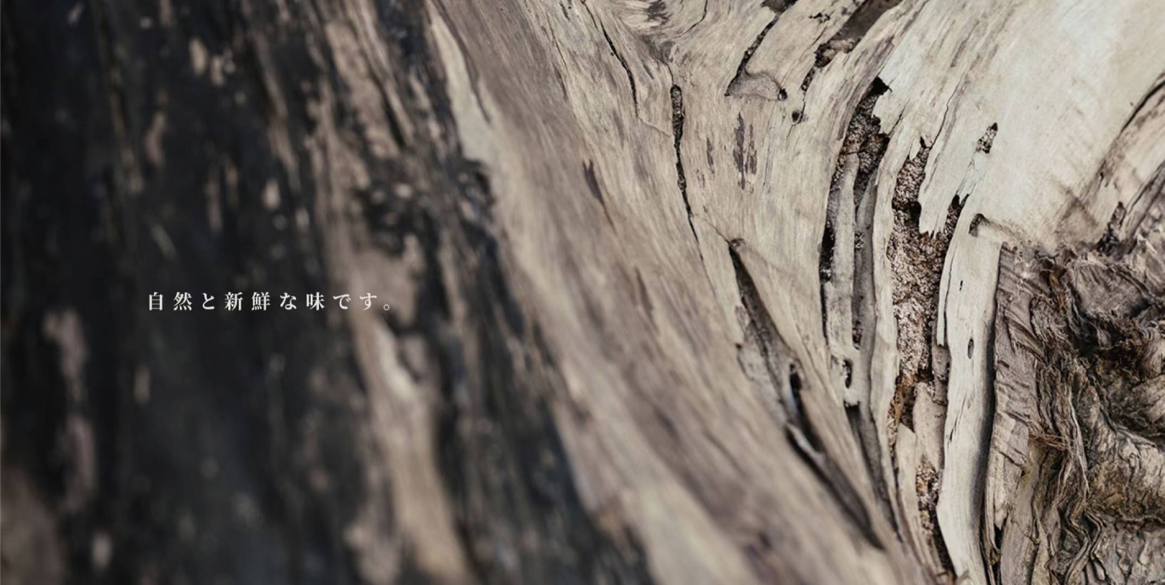 屿宴品牌应用展示一